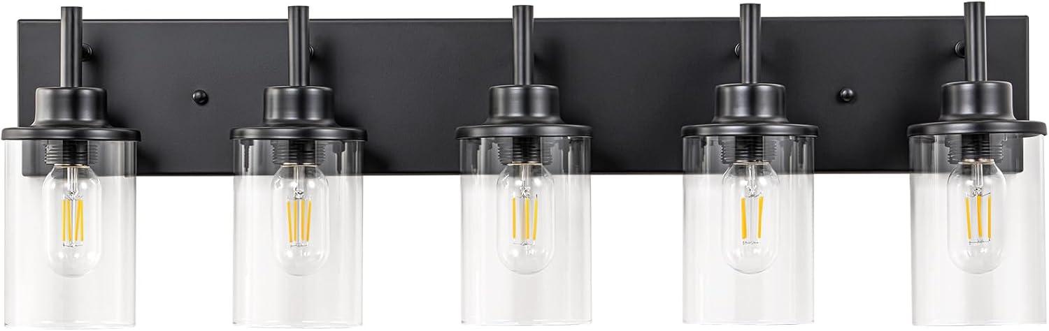 Matte Black 5-Light Bathroom Vanity Fixture with Glass Shades