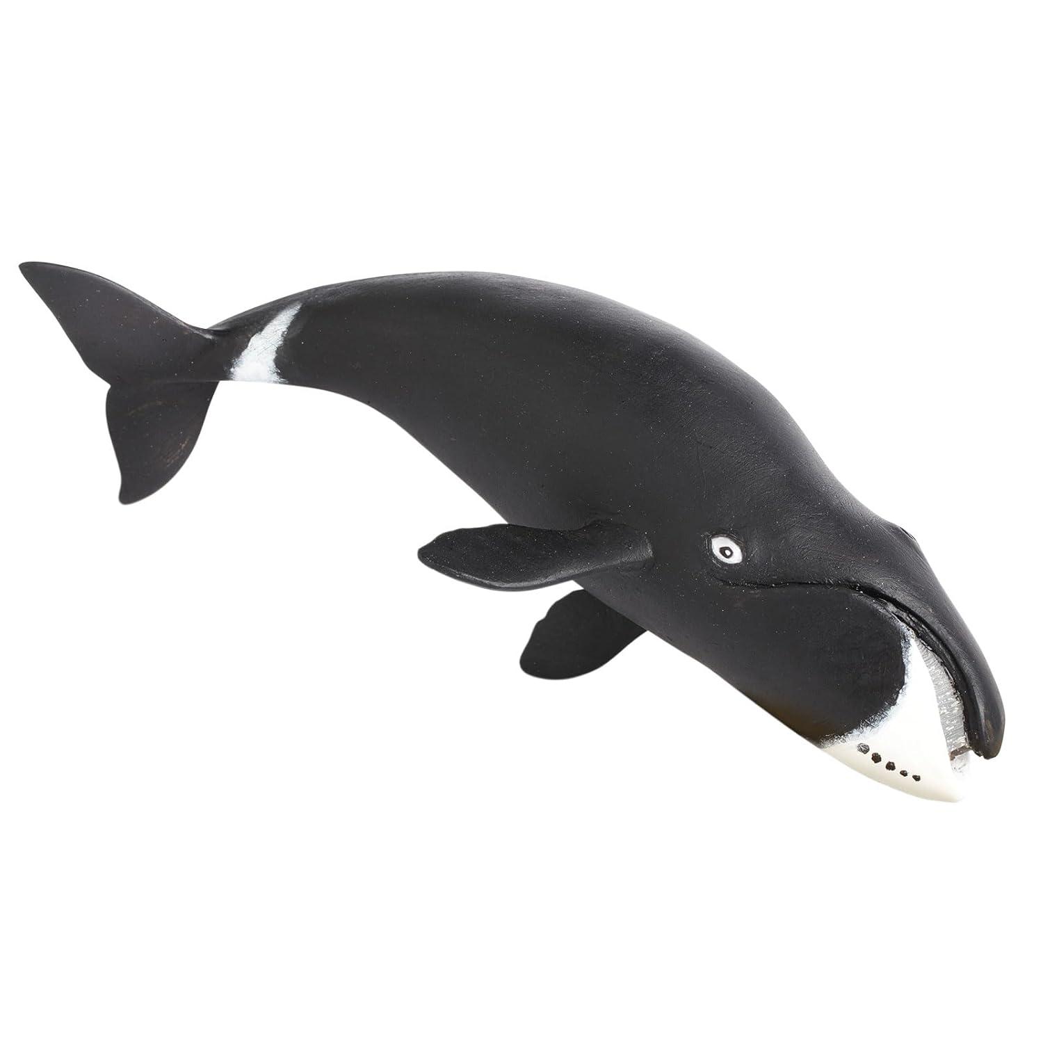 Safari Ltd. Bowhead Whale Figurine - Lifelike 8.25" Model Figure - Educational Toy for Boys, Girls, and Kids Ages 3+