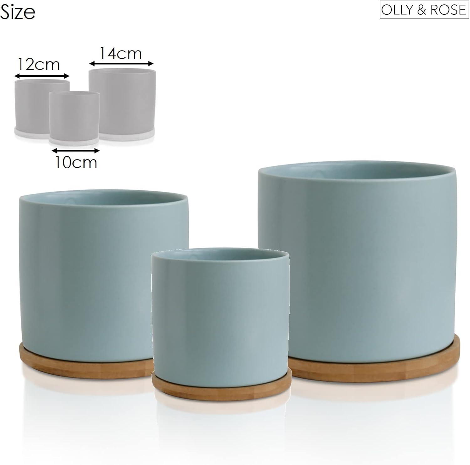 Pastel Blue Ceramic Plant Pots with Bamboo Coasters, Set of 3