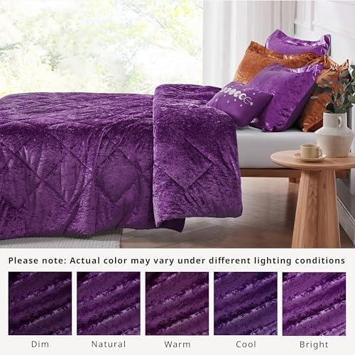 Intelligent Design Felicia Crushed Velvet Comforter Set with Throw Pillow