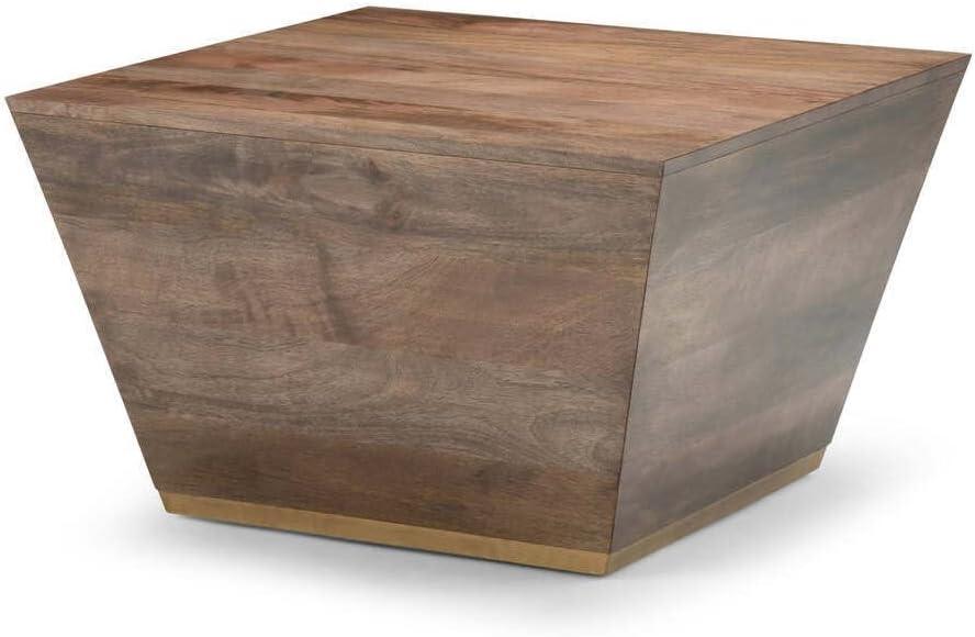 Simpli Home Abba SOLID MANGO WOOD 28 inch Wide Square Modern Coffee Table in Dark Brown, Fully Assembled