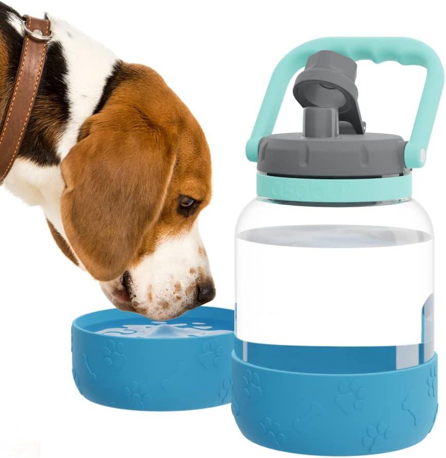 Asobu Asobu 32oz. Vacuum Insulated Stainless Steel Water Bottle