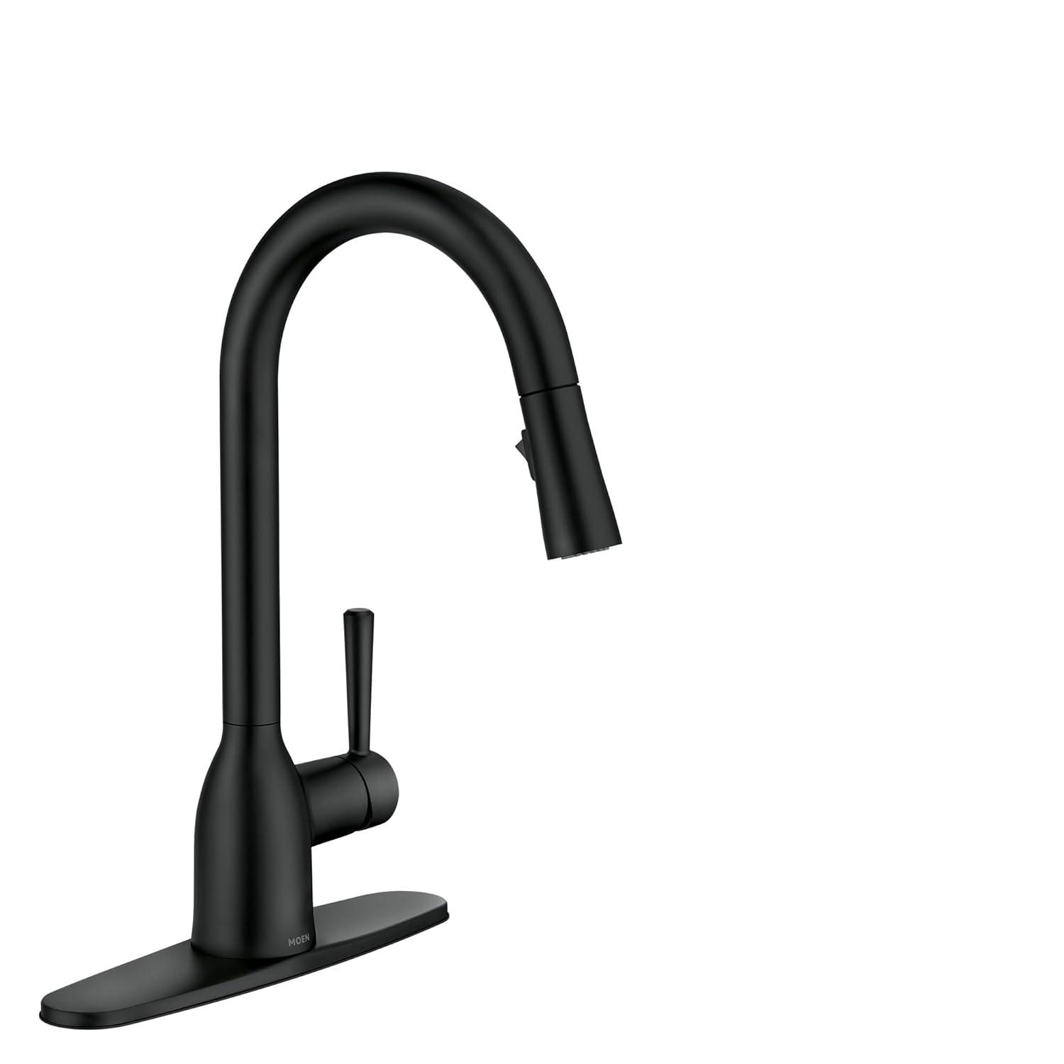 Adler Pull Down Single Handle Kitchen Faucet with Accessories