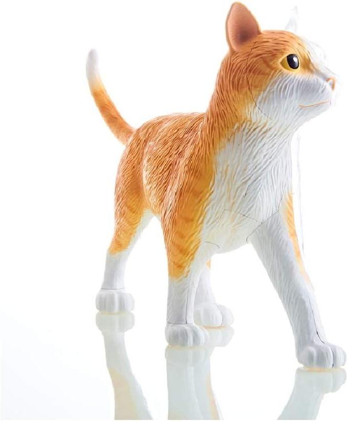 Multicolor 11.5" Cat Anatomy Model with Detachable Parts