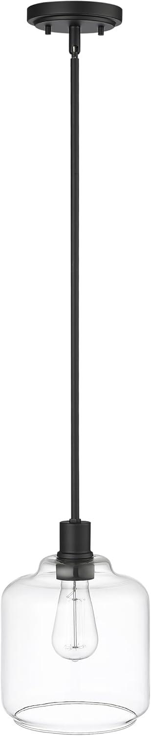 Millennium Lighting Asheville 1 - Light Dimmable Pendant