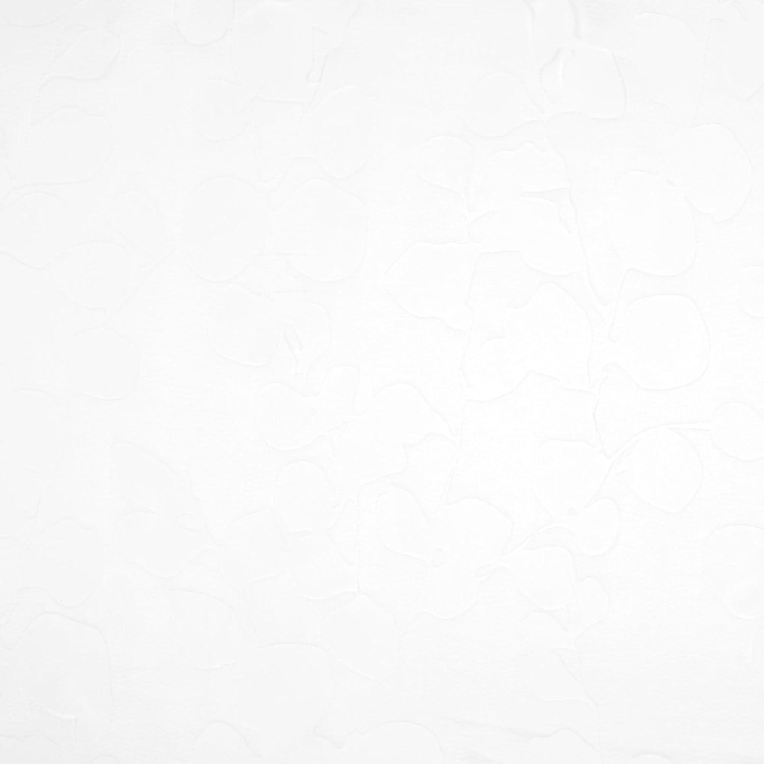 Exclusive Home Wilshire Burnout Sheer Hidden Tab Top Curtain Panel Pair, 54"x108", Winter White