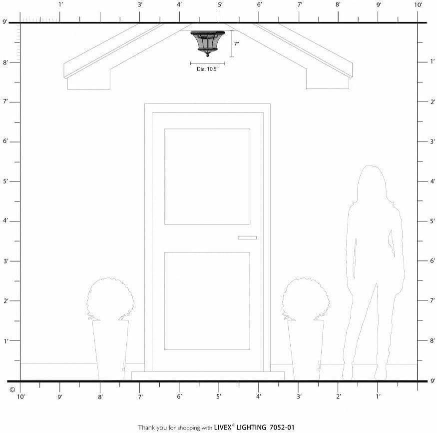 Bronze 2-Light Indoor/Outdoor Flush Mount with Clear Glass