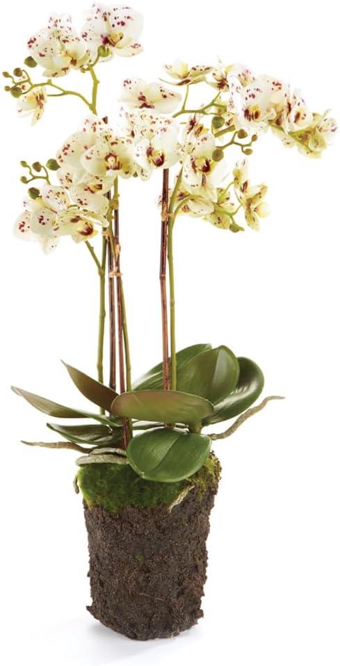 Plum & Post Phalaenopsis Orchid Faux (Fake) Drop-In 20"