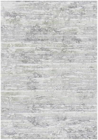 Century 300 CTY350 Power Loomed Indoor Area Rug - Grey/Green - 2'x5' - Safavieh