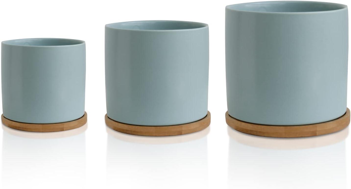 City & Rose Round Pastel Blue Ceramic Plant Pot Set with Bamboo Coasters indoor Planters 3 Count