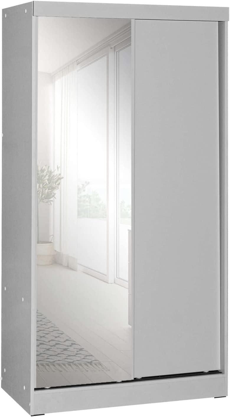 Transitional Light Gray Double Sliding Door Wardrobe with Mirror