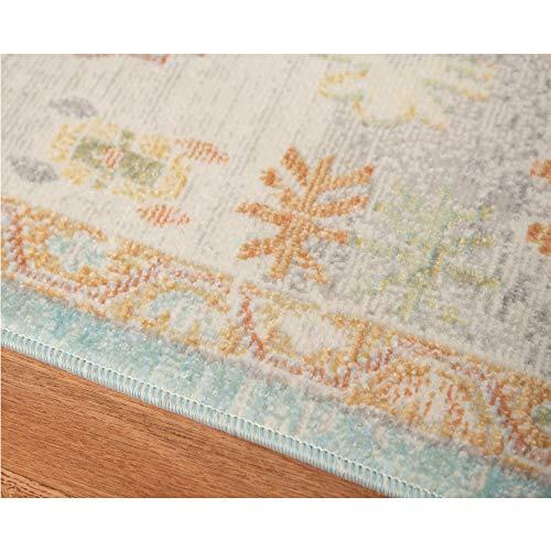 AMER Rugs Bohemian Gretna Collection, Indoor/Outdoor Aqua 9x12 Area Rug, Rugs for Living Room, Bedroom, Dining Room, Kitchen - Aqua/Beige