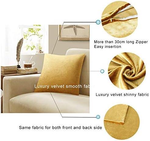 Gold Velvet Decorative Throw Pillow Covers,18x18 Pillow Covers for Couch Sofa Bed 2 Pack Soft Cushion Covers