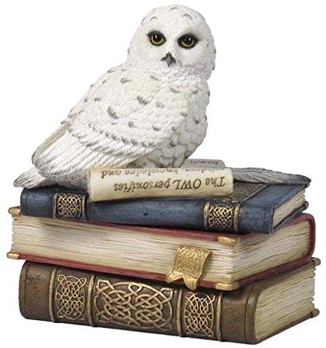 4.75 Inch Snow Owl on Books Decorative Trinket Box, White Color