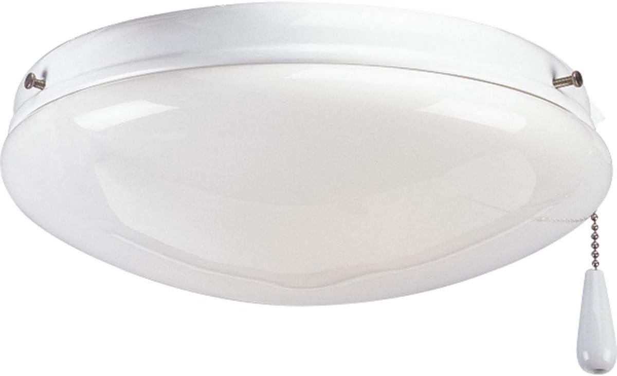 AirPro Collection Two-Light Ceiling Fan Light