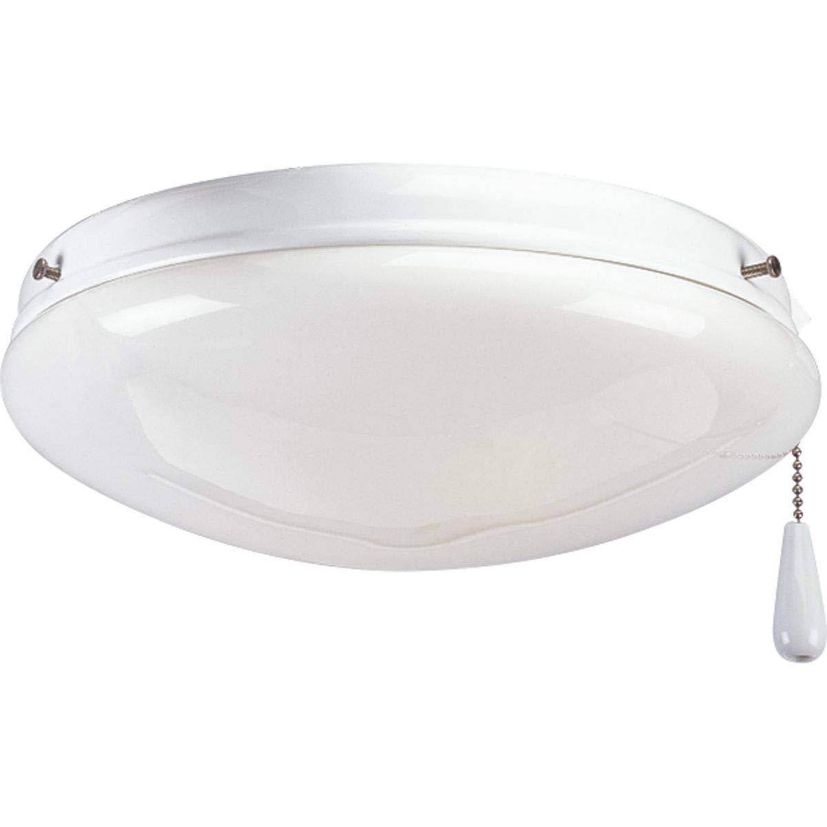 AirPro Collection Two-Light Ceiling Fan Light