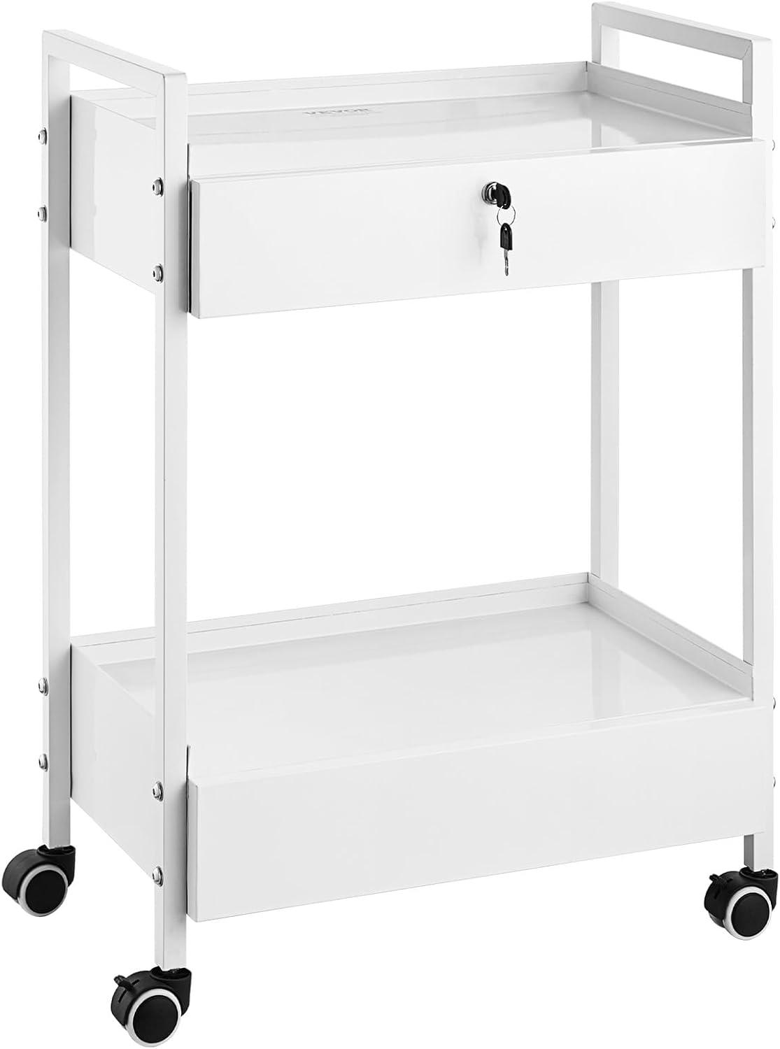 VEVOR Lab Rolling Cart, 2-Shelf Stainless Steel Rolling Cart, Lab Serving Cart with Swivel Casters, Dental Utility Cart for Clinic, Lab, Hospital, Salon, 15.16"x21.57"x34.06"