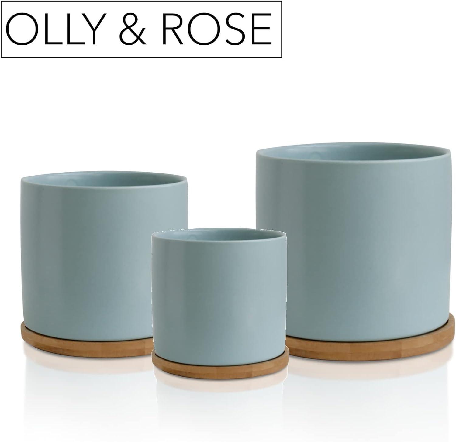 City & Rose Round Pastel Blue Ceramic Plant Pot Set with Bamboo Coasters indoor Planters 3 Count