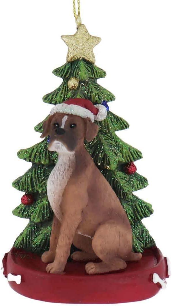 Kurt Adler Boxer with Tree and Lights Ornament (C7954BO)