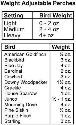 Woodlink Green Absolute II Squirrel Proof Bird Feeder - 12 lbs