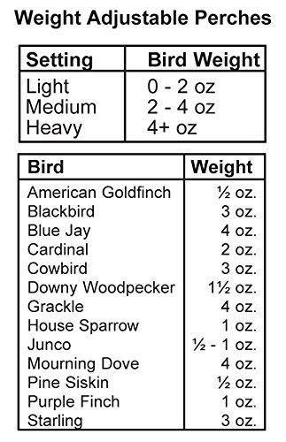 Woodlink Green Absolute II Squirrel Proof Bird Feeder - 12 lbs