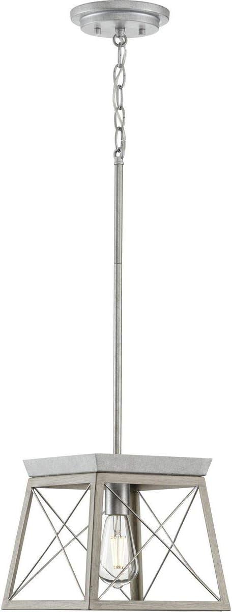 Progress Lighting Briarwood 1-Light Mini-Pendant, Steel, Galvanized, Faux-Painted Wood Enclosure, Canopy Included