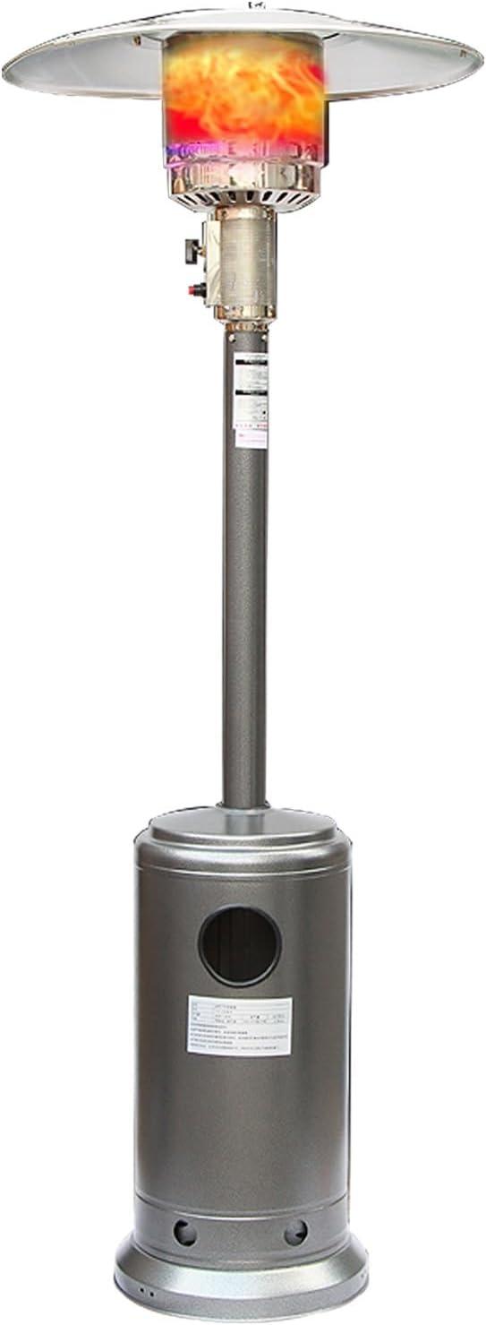 Stainless Steel Propane Patio Heater with Safety Shut Off