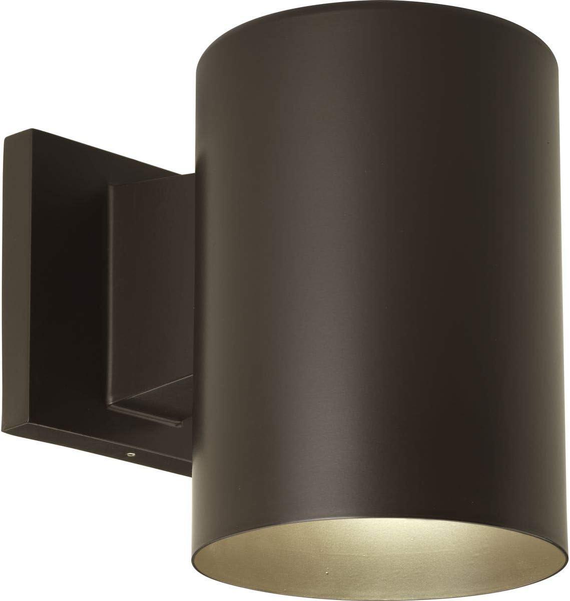 Progress Lighting, Cylinder Collection, 1-Light Wall Light, Antique Bronze, Porcelain Shade