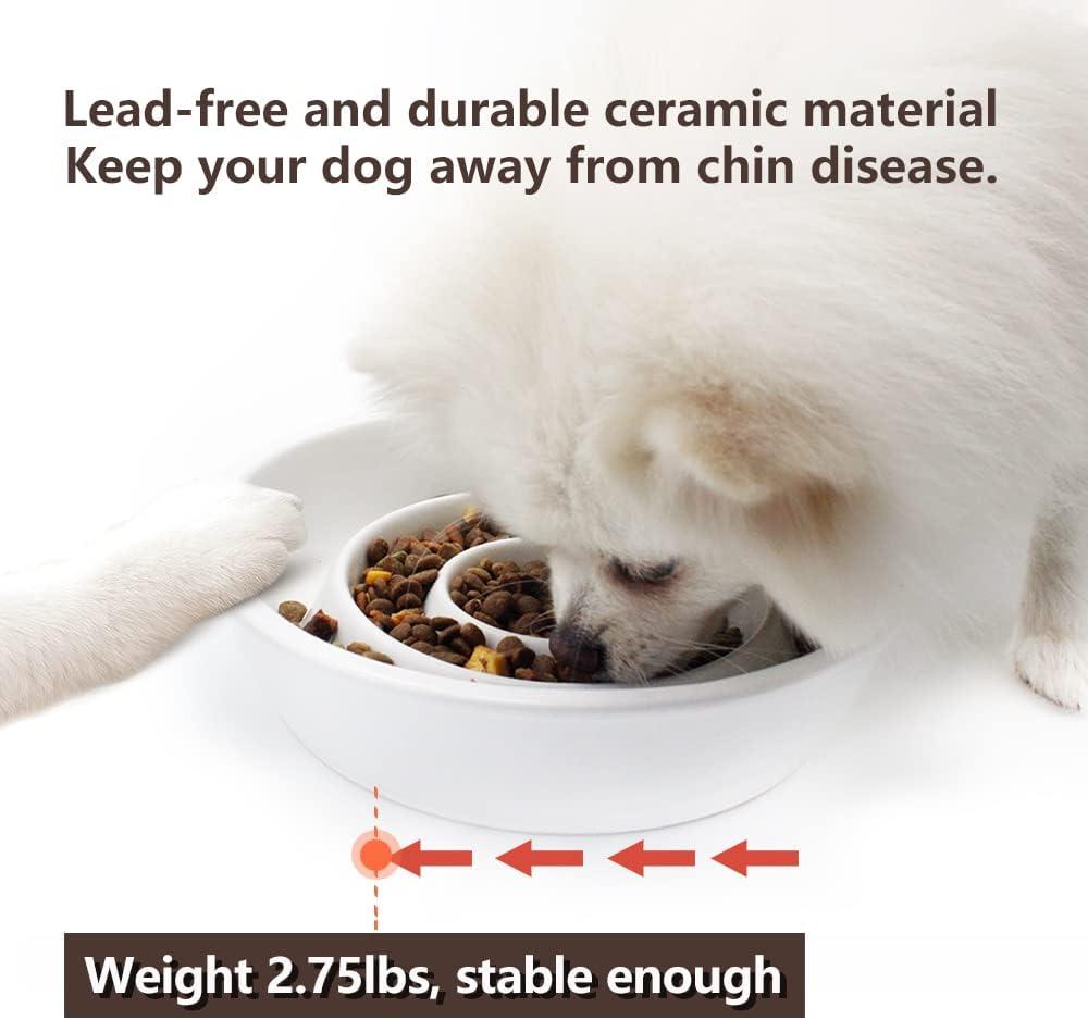 GH Ceramic Slow Feeder Dog Bowl, 3 Cups, 2 Pet Flying Discs Included - White