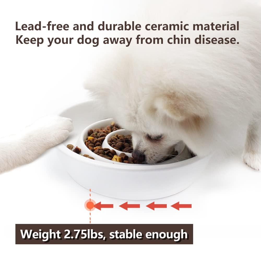 GH Ceramic Slow Feeder Dog Bowl, 3 Cups, 2 Pet Flying Discs Included - White