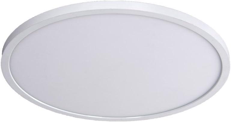 Simple Circle Dimmable LED Flush Mount Light