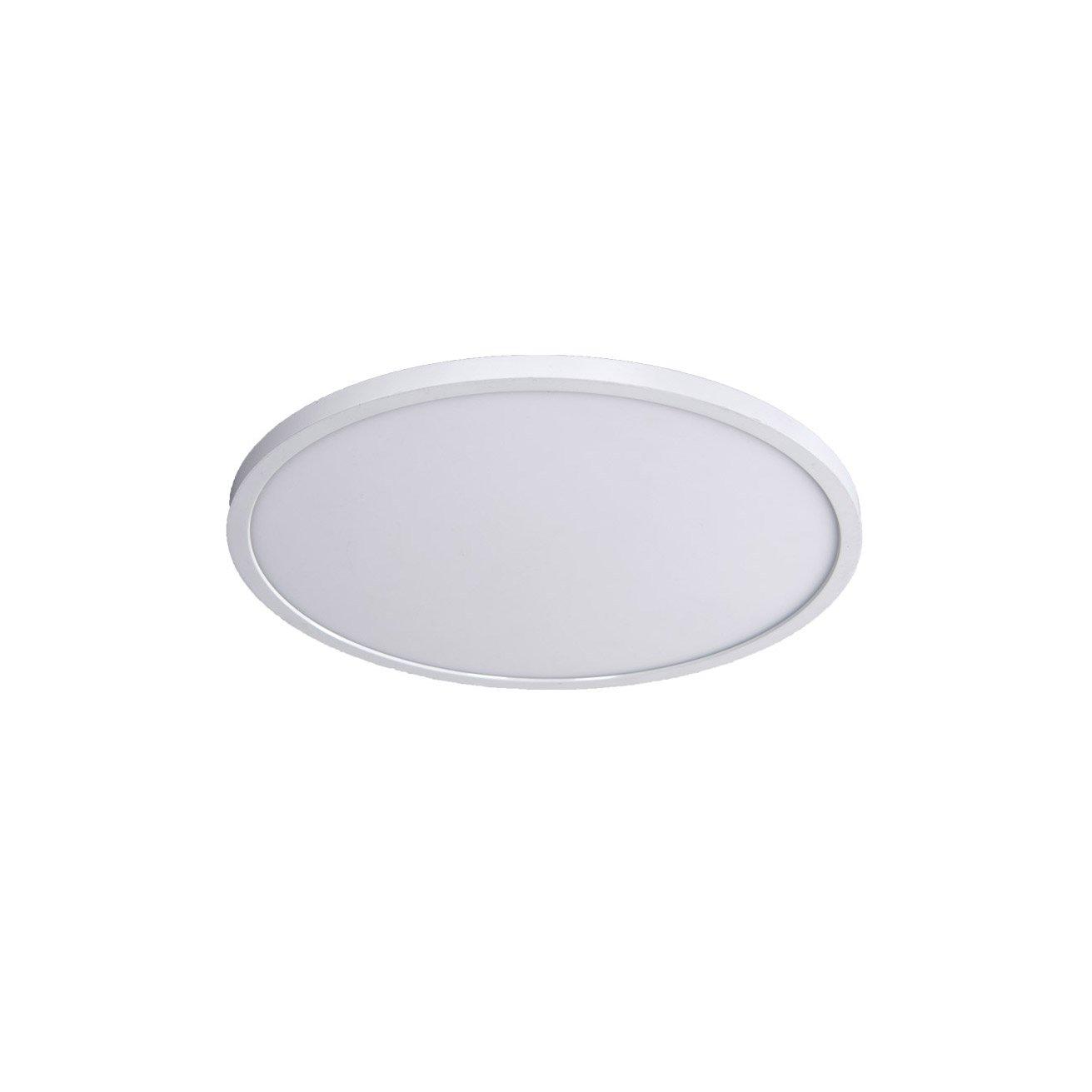 Simple Circle Dimmable LED Flush Mount Light