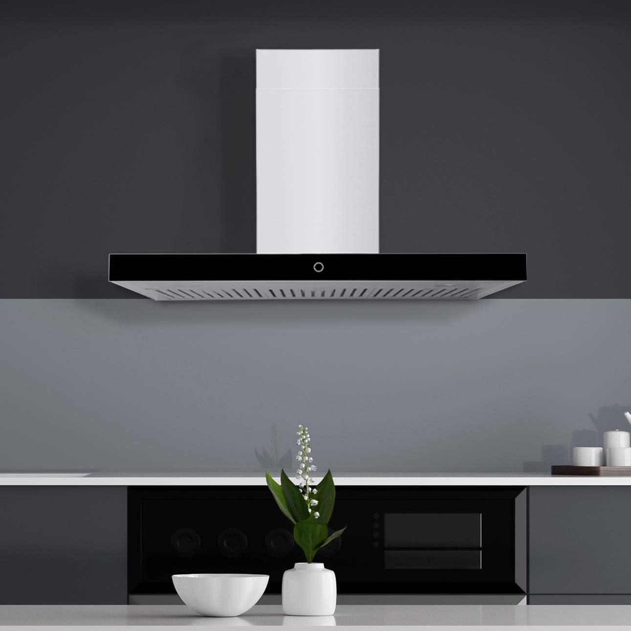 Hauslane 30" Stainless Steel 900 CFM Convertible Wall Range Hood