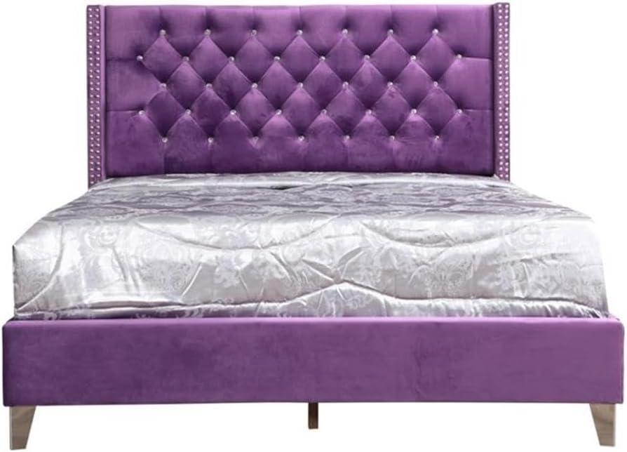 Glory Furniture Julie G1921-QB-UP Queen Upholstered Bed, Purple