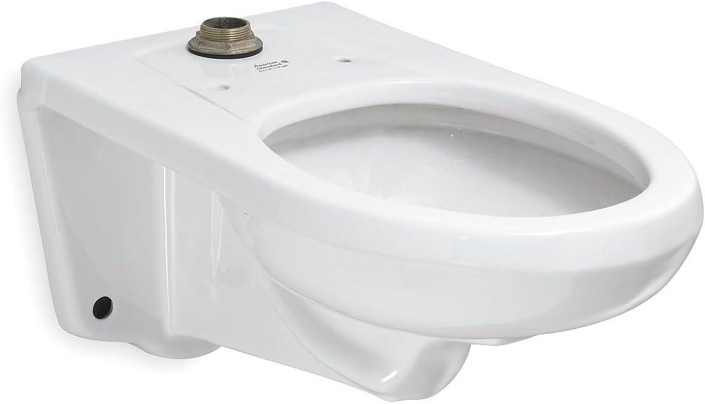 Afwall Dual Flush Elongated One-Piece Toilet (Seat Included)