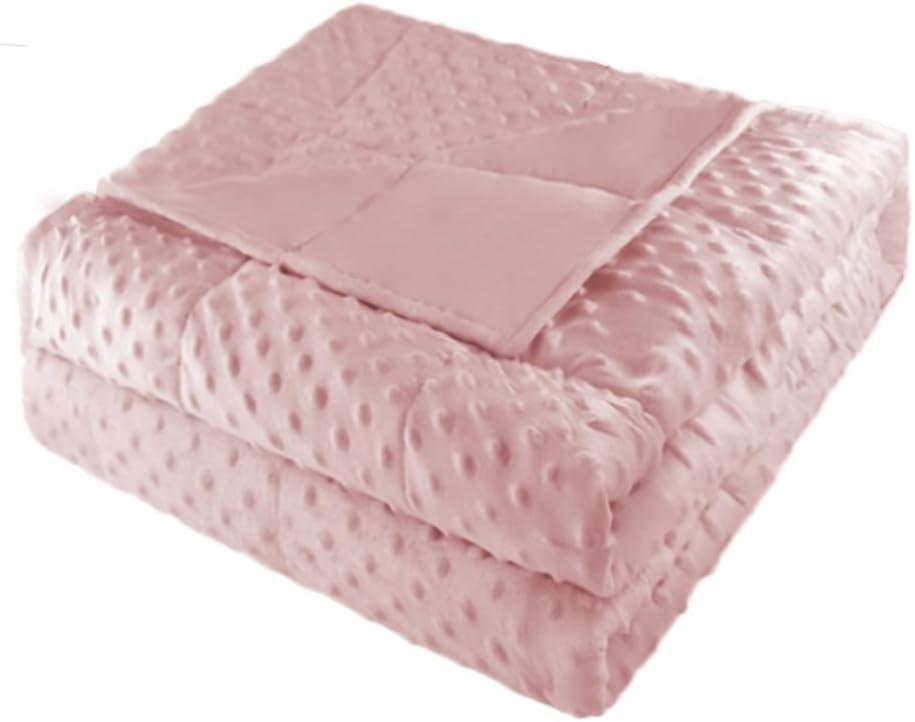 ALANSMA Weighted Blanket for All Season, Luxury Velvet, Warm and Cool, Adult Kids Reversible 15Lb Weighted Blanket, Enjoy Sleeping Anywhere(Pink,60"x80" 15lbs)
