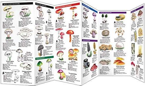 Pocket Naturalist Guides: Mushrooms: An Introduction to Familiar North American Species (Other)