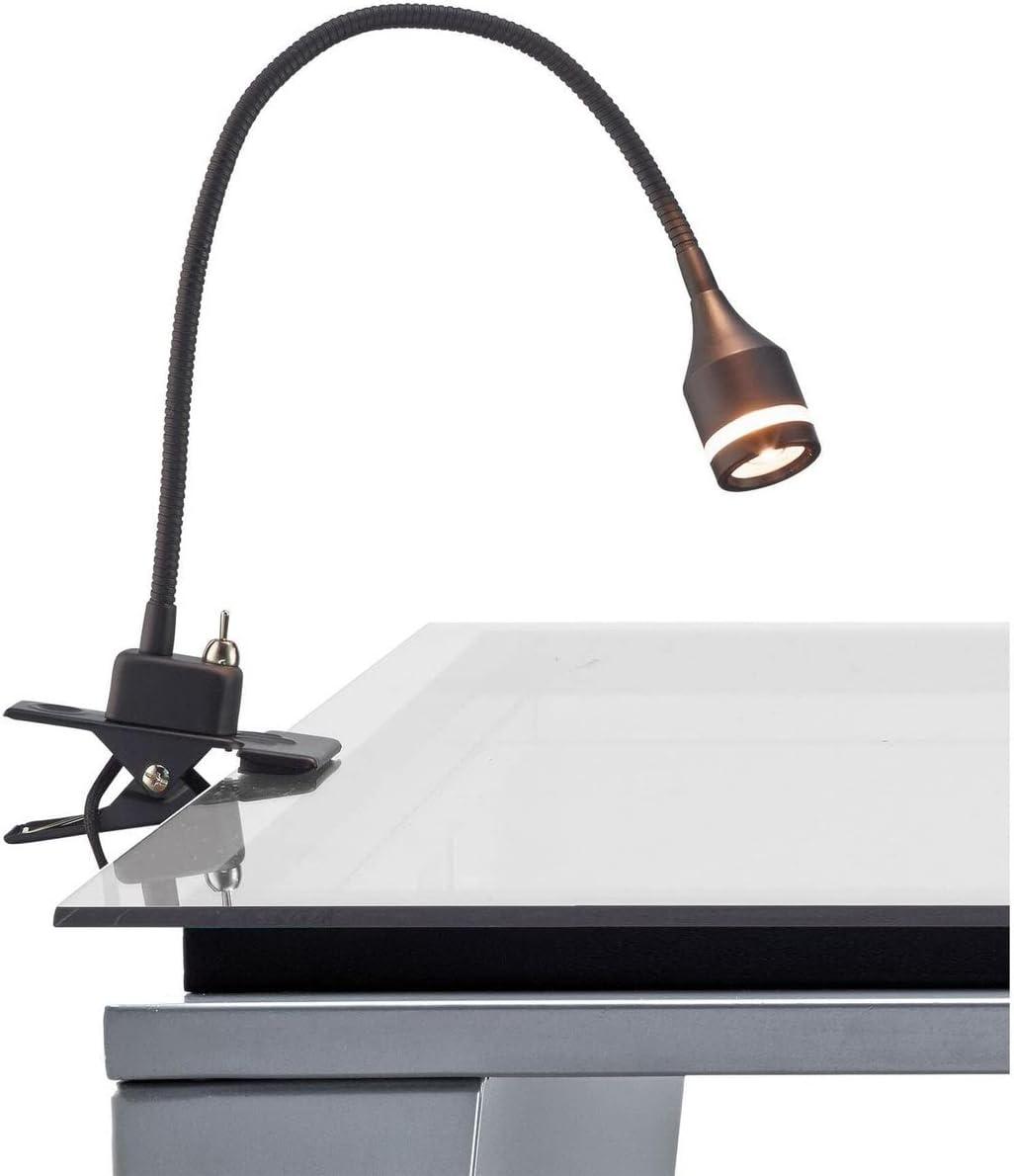 Matte Black Adjustable Arc Clip-on Lamp