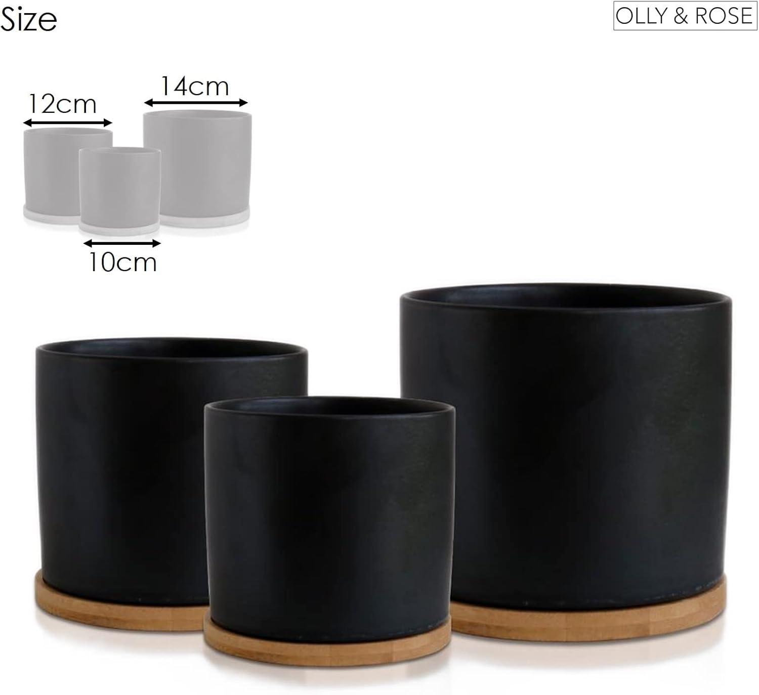 Olly & Rose Black Set 3 Ceramic Plant Pots with Bamboo Coasters Indoor Planters with Saucers