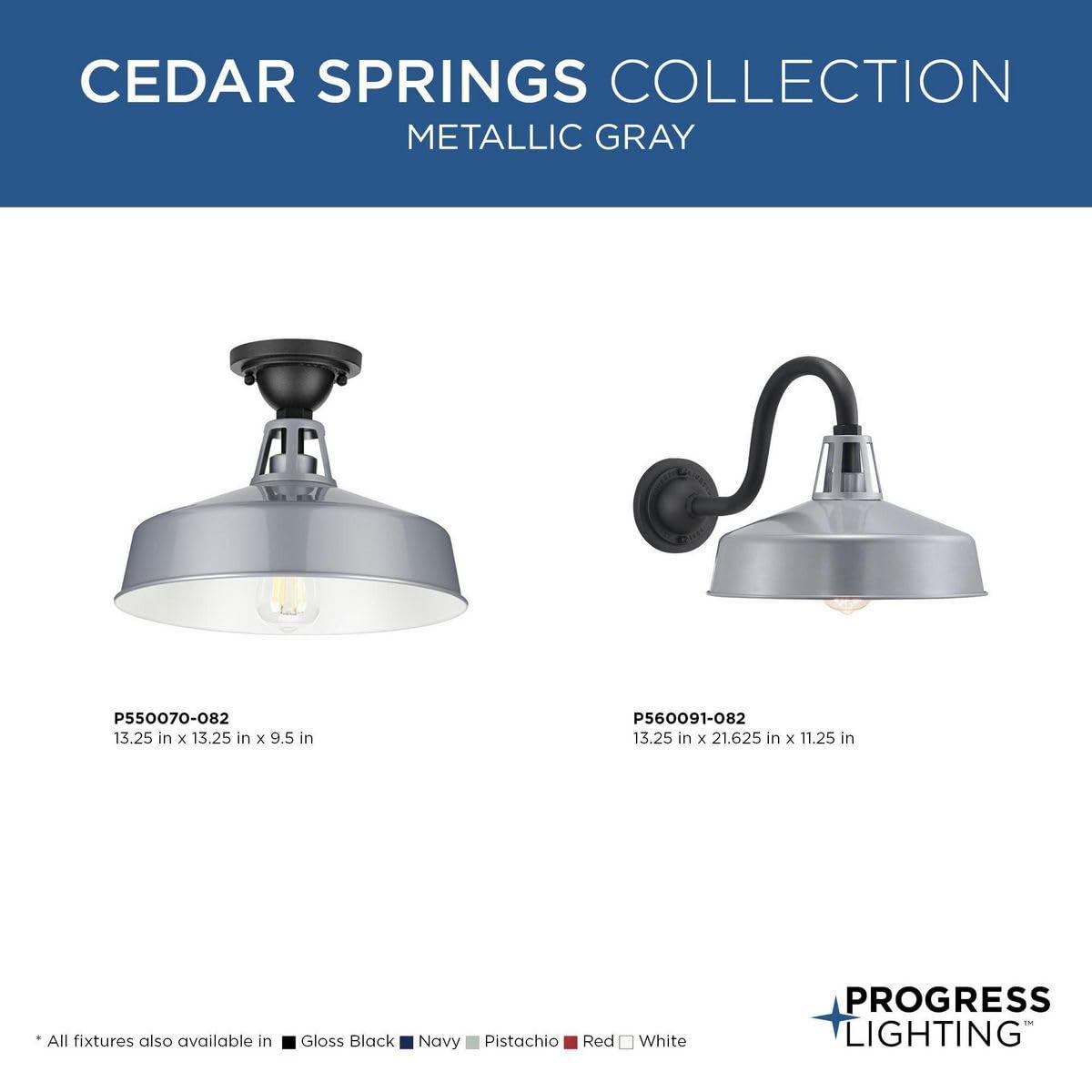 Progress Lighting, Cedar Springs, 1-Light Ceiling Light, Metallic Gray, White Shade