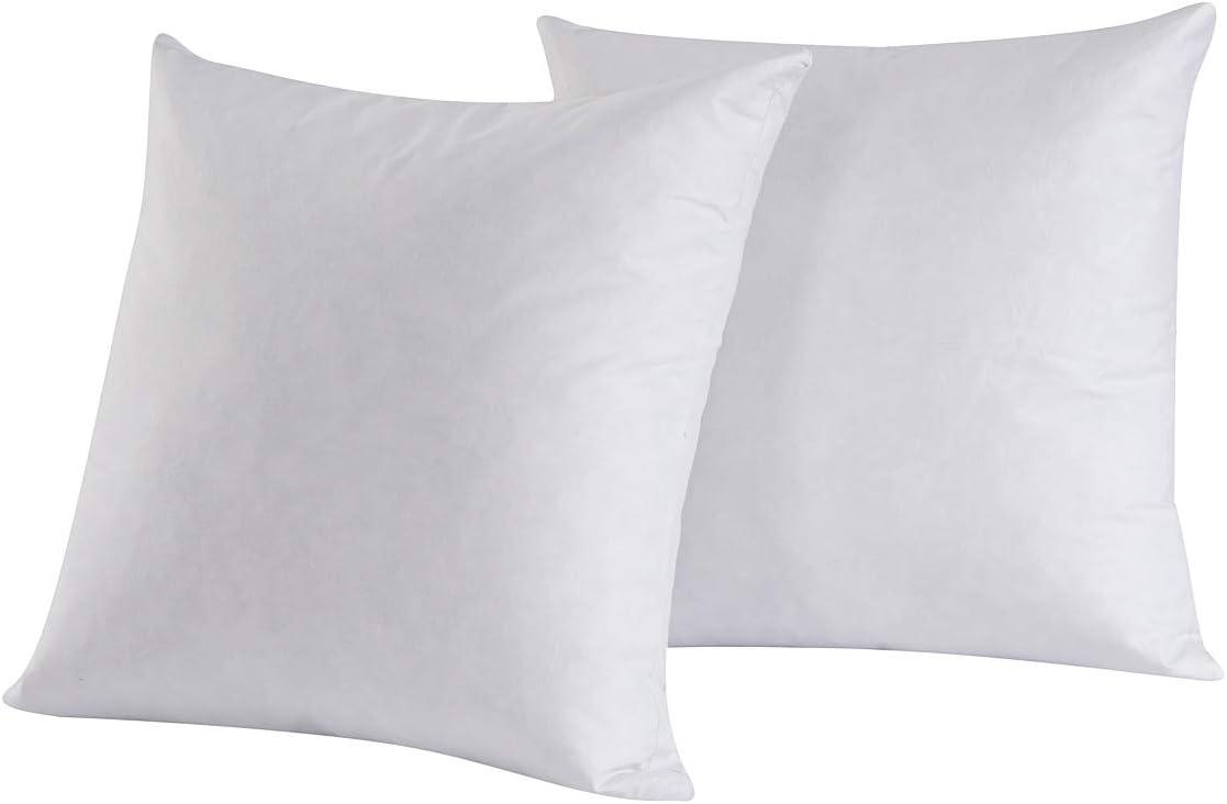 Set of 2 White Cotton Feather and Down 12x12 Pillow Inserts