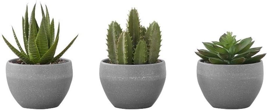 Artificial Succulents Silk Plant Indoor Set of 3, Green, Gray Cement