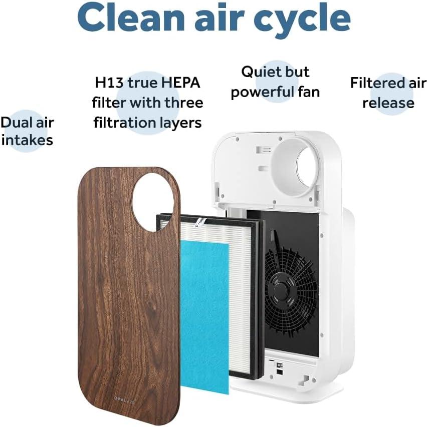 OVAL AIR 3-Stage H13 True HEPA 5-in-1 Air Purifier reduces Allergies, Asthma, Pets, Odor, Smoke