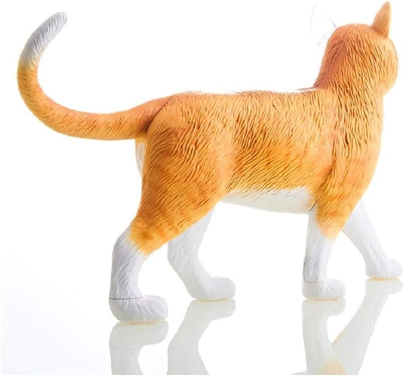 Multicolor 11.5" Cat Anatomy Model with Detachable Parts