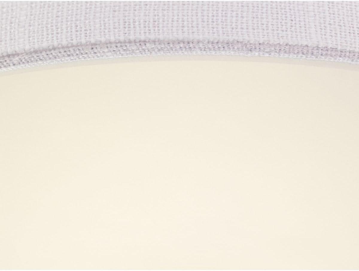Progress Lighting Inspire Collection 1-Light LED Flush Mount, Graphite Finish, Fabric Shade