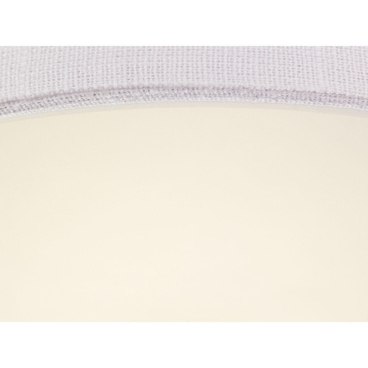 Progress Lighting Inspire Collection 1-Light LED Flush Mount, Graphite Finish, Fabric Shade