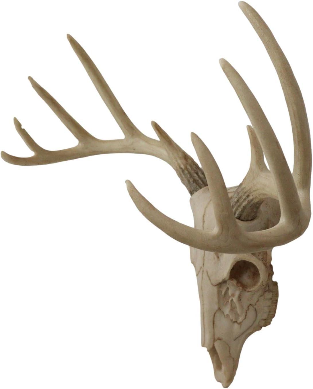 Ebros Gift Rustic Hunter Deer 10 Point Buck Skull Trophy Antlers Wall Mounted Plaque Decor Figurine 14.25" Long Hunter's Antler Rack Theme Deer Buck Hunting Skulls Trophies Hanging Sculpture
