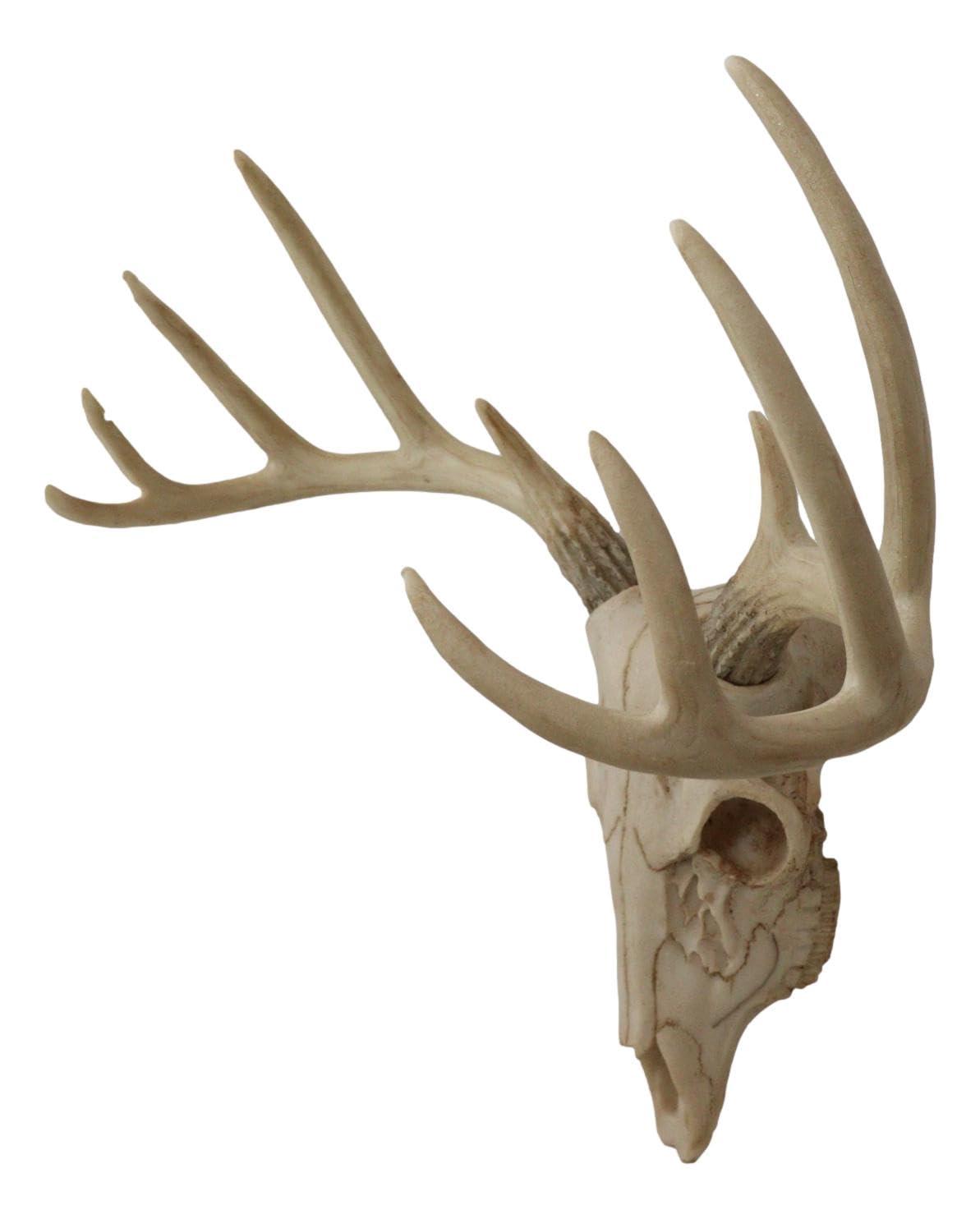 Ebros Gift Rustic Hunter Deer 10 Point Buck Skull Trophy Antlers Wall Mounted Plaque Decor Figurine 14.25" Long Hunter's Antler Rack Theme Deer Buck Hunting Skulls Trophies Hanging Sculpture