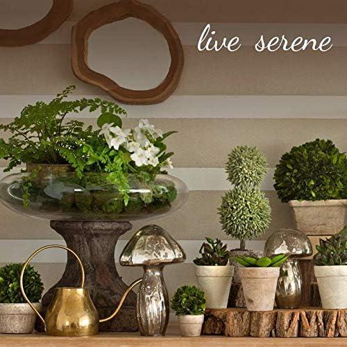 Serene Spaces Living Clear Ribbed Glass Votive Holder, Wedding, Christmas, Pack of 32