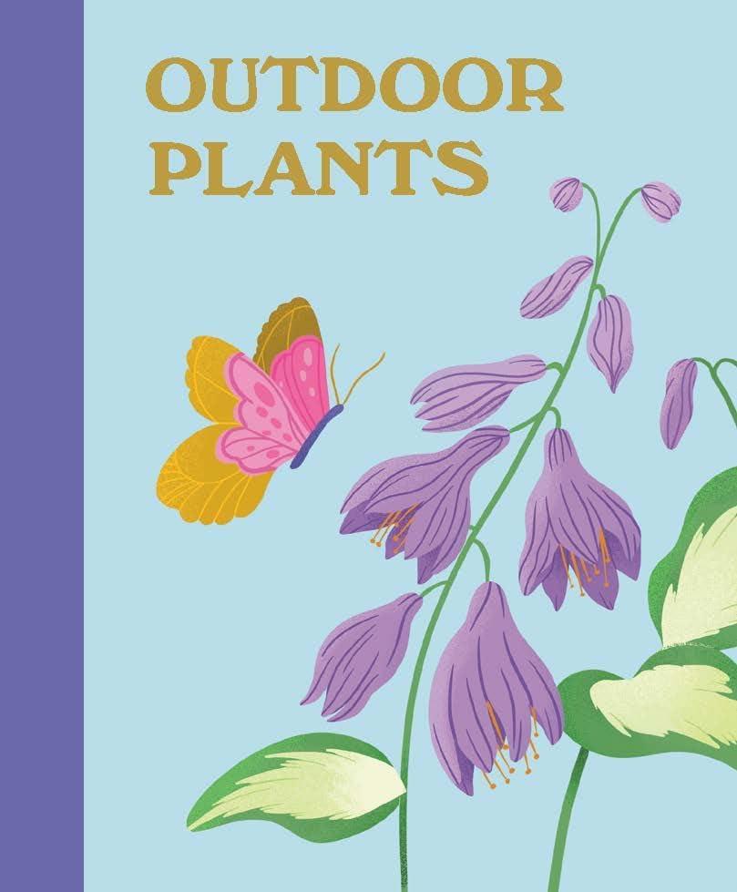 Plant Lover's Box Set - (Rp Minis) by  Jessie Oleson Moore (Hardcover)